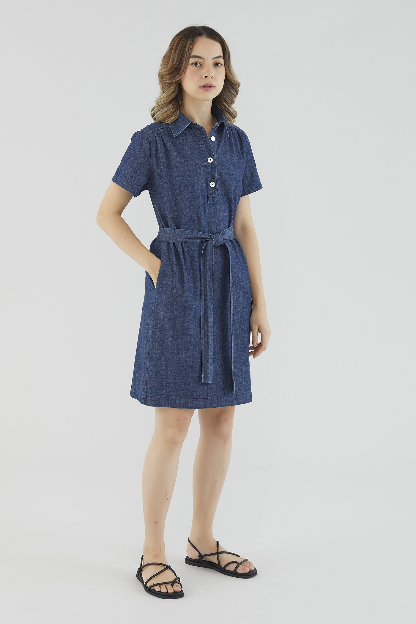 Paola Denim Dress