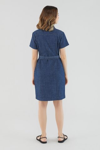 Paola Denim Dress